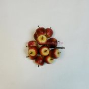 Набор KFH13-P1805 яблок красный 12шт D2.8хL10см